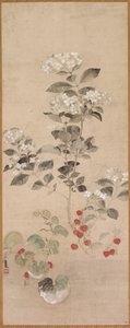 夏の花 作： Samuel Prout