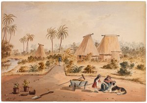 ザホームステッド、サヴベイ、フィジー、1870 作： Samuel Thomas Gill