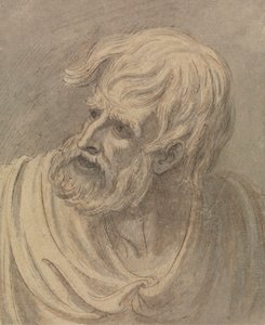 ひげを生やした男の頭が左を向く 作： Samuel de Wilde