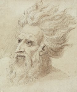 ひげと長い髪の男の頭が風になびく 作： Samuel de Wilde