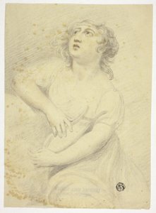 竪琴を持つ女性 作： Samuel de Wilde