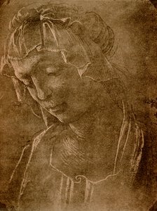女性の頭 作： Sandro Botticelli