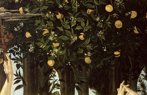 Primavera、オレンジツリーの詳細、パネル上のc.1478テンペラ 作： Sandro Botticelli