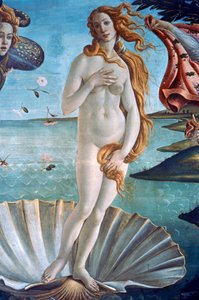 金星の誕生の詳細、c1485