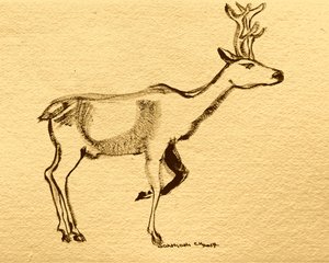 作： Santhosh ch