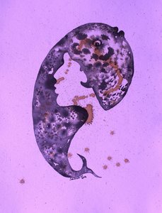 神秘的なクジラの女性 作： 