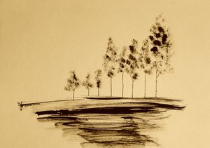 穏やかな木の反映 作： 