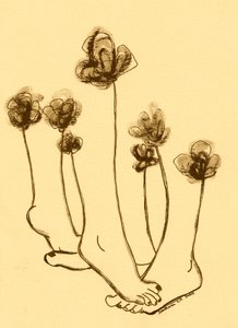 風変わりな足の花 作： 
