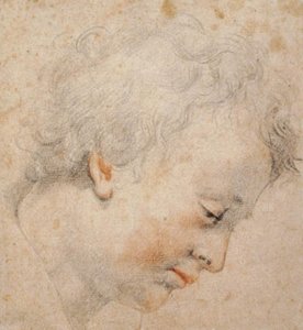 右側の横顔の若い男性の頭 作： Santi di Tito