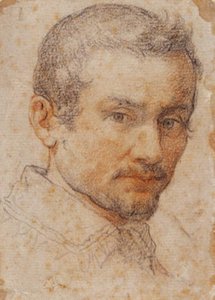 少し右を向いた青年の頭 作： Santi di Tito