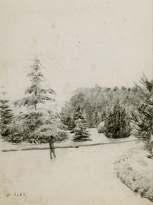 庭の研究 作： Santiago Rusiñol