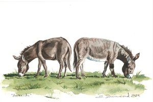 ブックエンド、2024年（紙に水彩画） 作： Sarah Drummond