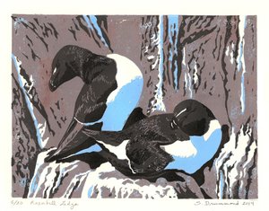 カミソリ岬、2014年（リノカット） 作： Sarah Drummond