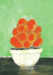 色鮮やかな多肉植物の鉢植え