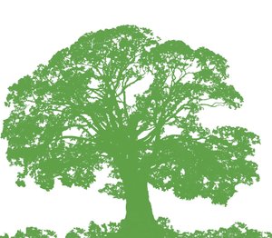 Climbing Tree、2009（デジタル） 作： Sarah Hough