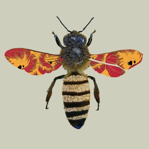 Honey Bee、2010（デジタル） 作： Sarah Hough