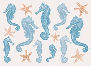 タツノオトシゴとヒトデ、2017年 作： Sarah Hough