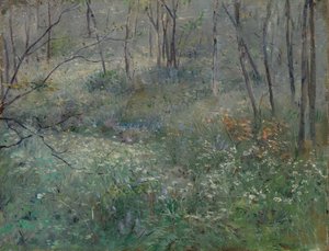 ワイルドパセリ、1900年。 作： Sarah Paxton Ball Dodson
