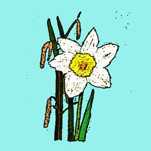 水仙、2015年（モノプリント 作： Sarah Thompson Engels