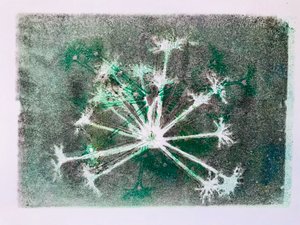 シードヘッドI,2020,(モノプリント) 作： Sarah Thompson Engels