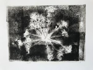 シードヘッドII,2020,(モノプリント) 作： Sarah Thompson Engels