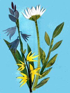 春の花,2018（コラージュ 作： Sarah Thompson Engels