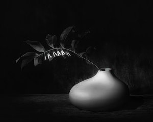  作： 