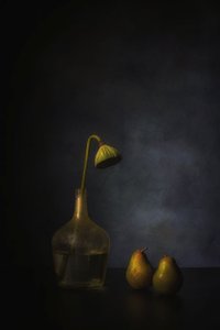  作： 