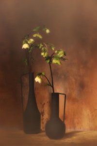  作： 