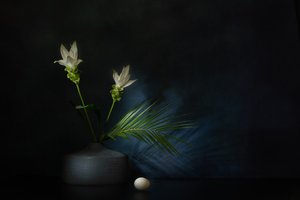  作： 
