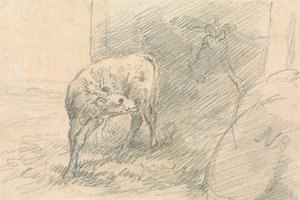 子牛、牛の頭
