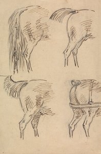 馬の後部の 4 つのスケッチ 作： Sawrey Gilpin
