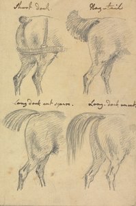 Quatro esboços de rabos de cavalo 作： Sawrey Gilpin