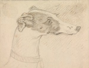 グレイハウンドの頭の肖像画 作： Sawrey Gilpin