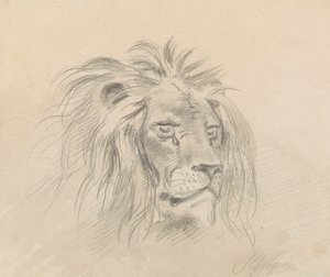 ライオンの頭