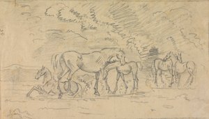 Cavalos em um prado