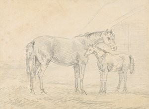 馬と子馬 作： Sawrey Gilpin