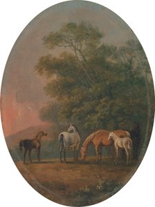 牝馬と子馬[1795年、ロンドン王立芸術アカデミー、展覧会カタログ] 作： Sawrey Gilpin