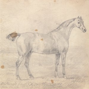 プラマー氏の馬 作： Sawrey Gilpin