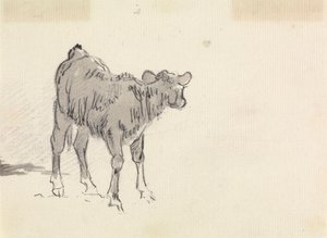 子牛の研究 作： Sawrey Gilpin