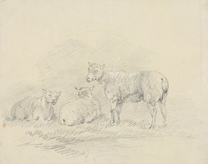 三匹の羊 作： Sawrey Gilpin