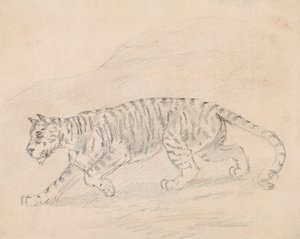 虎 作： Sawrey Gilpin