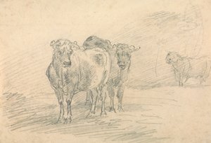 Duas vacas em uma colina