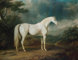 樹木が茂った風景の中の白い馬、1791 作： Sawrey Gilpin