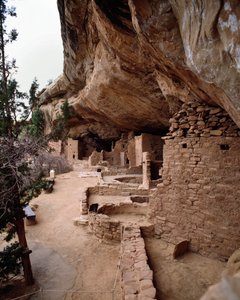 スプルース・ツリーハウス跡地の眺め（1993年、撮影 作： School Anasazi