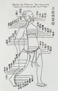 鍼灸のこと"胃の経絡 "編 作： School Chinese