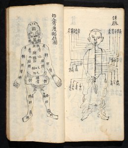 身体の中心線に沿った経穴（Jing Guan Qi Zhi, "The beginningnings and ends of acupuncture points and channel", pub.18世紀初頭、中国南部、紙に墨で描かれている。