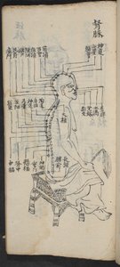 背骨と頭に沿ったツボ、Jing Guan Qi Zhi, "The beginningnings and ends of acupuncture points and channel", pub.中国南部、18世紀初頭、紙に墨で描かれている。