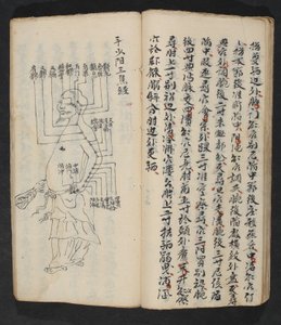 腕、首、頭の付け根にあるツボ。18世紀初頭、中国南部、紙に墨で描かれている。