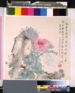 花と鳥のアルバム」 制作年不詳 （絹本、インク、彩色） 作： School Chinese